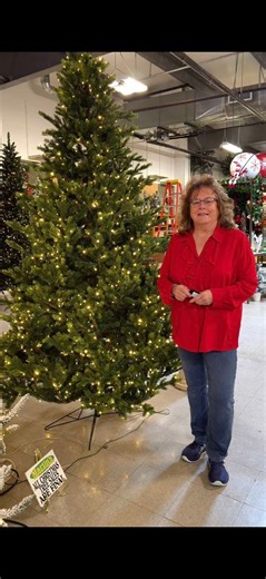 Join Christy as she gives a tour of our selection of Christmas trees, highlights their features, and gives a few tips on storing your trees to get the best longevity! #springfieldmochristmas #christmas2025 #christmastree #christmastreedecorating #christmastreedecor #MartinsFloral #lovespringfield | Martin's Floral & Home Decor