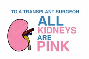 UCLA Kidney Transplant Program leads the nation in numbers — and vision