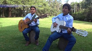 MUSICA AYACUCHANA - CHIWILLITO NEGRO - LOS HERMANOS BUSTIOS VEGA | Musica Ayacuchana