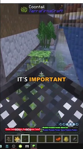 HOW TO MAKE COMPOST and plant RYE in MINECRAFT TERRAFIRMACRAFT