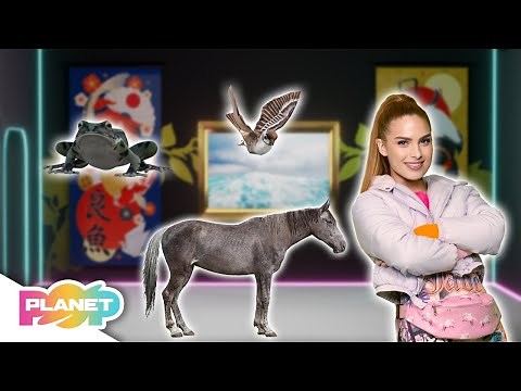 Actions Song | ESL Songs | English For Kids | Planet Pop | Learn English