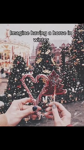 The sad reality 😭 #fyp #horsewinter #christmas #foryou