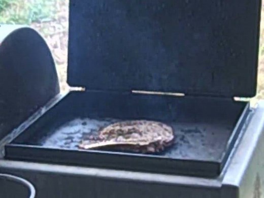 Did you say steak?