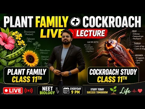 Plant Family + Cockroach 🔥 Full Revision | Class 11 NEET Biology | Live Lecture by Vinay Biology
