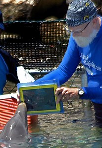 Apple's iPad helps researchers speak with the animals - 9to5Mac