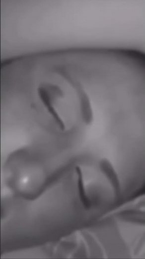 hello water vine (ORIGINAL)