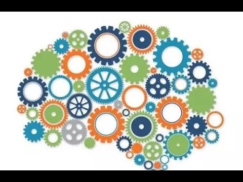 Understanding Human Intelligence - Exploring Our Cognitive Abilities (4 Minutes Microlearning)