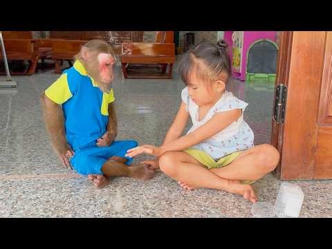 Too Funny! CUTIS shy Apologizes Yen nhi After Eating All the Candy!