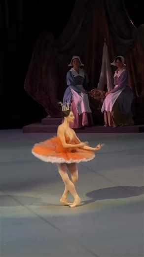 4.3K views · 309 reactions | The Sleeping Beauty @Maria Koshkaryova @Bolshoi Theatre @Natalia Beizerova | Ballet Mon Amour | Facebook
