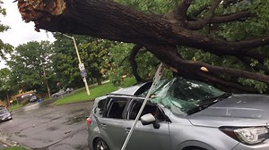 Scenes from the hailstorm that hit Ottawa-Gatineau | CBC News