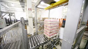 palletizing robot wraps stretch film of bottles yogurt on pallet