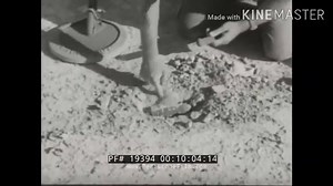 3.3K views · 116 reactions | Documtary on ESSO STANDARD oil exploration in Zultin field in 1958 | Libyan Oil & Gas Insider | Facebook