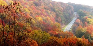 When do fall colors peak in the Tri-State? Could be earlier than usual this year