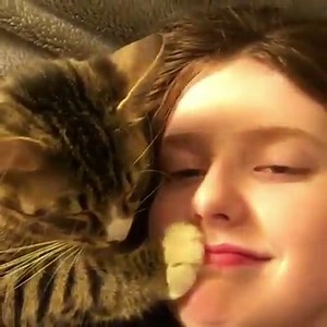 5.9M views · 20K reactions | My heart is melting about that.  | Wonderful Cats | Facebook