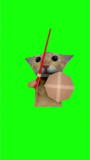 Cat With Shield Meme | Green Screen #cat #skeletonshieldmeme #relatable #capcut #fyp