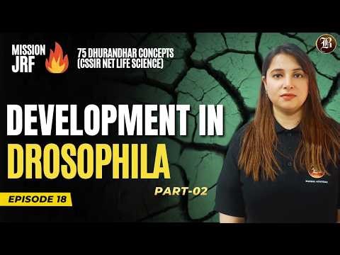CSIR NET Life Science 2026 | Drosophila in Development Concept | Part -02 | Bansal Academy