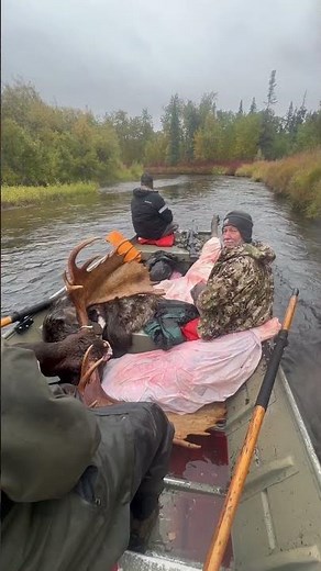 Moose hunting Alaska