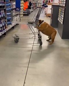 18 reactions | When you just want to keep on moving......