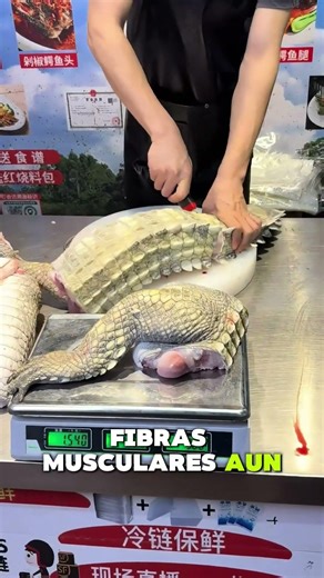 ¿CARNE CON VIDA PROPIA? 🐊🥩