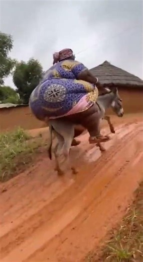 Donkey vs Heavy Rider 😳🔥 Wait for the Ending! #Shorts