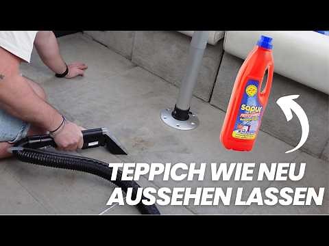 Teppichreinigung mit dem Teppichreiniger von DM | Teppich vom Boot professionell reinigen