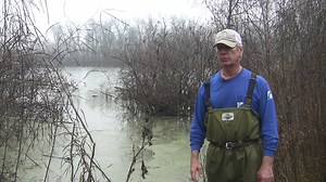 Lower Mississippi River Ecohydrology Study