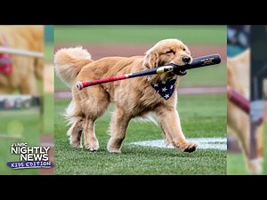 Meet Bruce the Bat Dog who is stealing the show! | Nightly News: Kids Edition