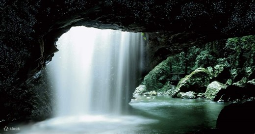 Natural Bridge Springbrook National Park: Nachtelijke tour om glimwormen te bekijken - Klook Verenigde Staten