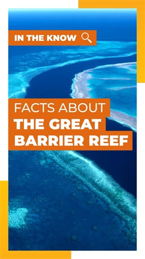 Dive into these Great Barrier Reef fun facts... Did you know it’s so big you can see it from space or that it’s home to over 1,500 species of fish 🐠🐟🪸 We’ve rounded up some of our favourite facts about this Aussie icon that’ll have you dreaming of reef snorkels, sea turtles, and sunshine! Watch this reel to discover them all 🤿 | Choice Hotels