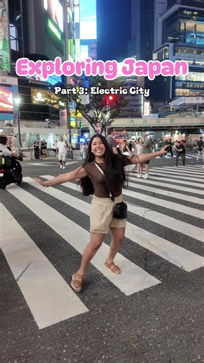 Exploring Akihabara: Electric City Adventure