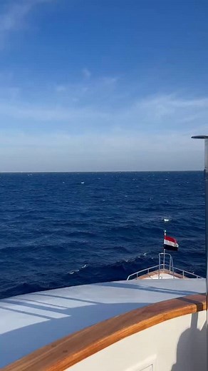 2.4K reactions · 620 shares | Send this to that one friend who still refuses to start diving  #diving #scuba #scubadiving #dive #scubadive #diver #divers #ocean #oceans #liveaboard #liveaboardcom #liveaboarddiving #scubalove #scubalife #scubaworld #scubalover #scubalovers #oceanlove #oceanlover #oceanlovers | LiveAboard.com | Facebook