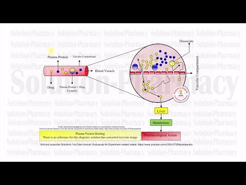 (40) Plasma Protein Binding | Plasma Protein Binding of Drug | Pharmacology of ADME | English