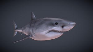 Realistic Shark - Download Free 3D model by MotionStreamStudios