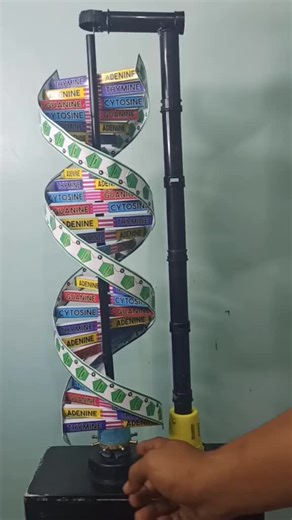 My 3D DNA Model Final Output 🧬