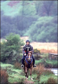 Endurance research to improve welfare - Horse & Hound