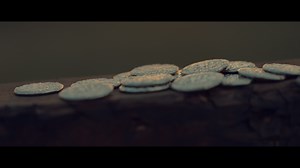 305 reactions · 87 shares | Join us at Second Baptist for a special Passion Week experience. Prepare your heart for Easter as you walk through Christ's last days in an immersive, self-guided journey through the stations of the cross. Click for times and more details! | Second Baptist Church, Houston, TX | Facebook