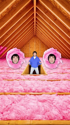 Cotton Candy Found in Attic!