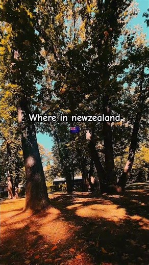 The #colour of #tree is changing who would #love to see #music #travel #nature #nz #arrowtown