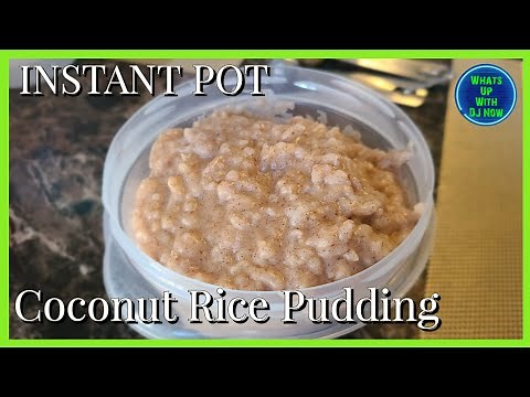 How to make Instant Pot Coconut Rice Pudding | The Best Easy Instructions | Instant Pot Duo Gourmet