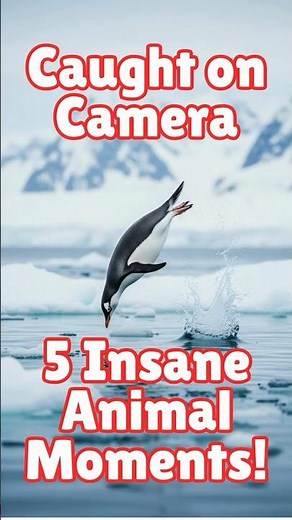 5 Rare Animal Moments Caught on Camera (1 in a Billion!)