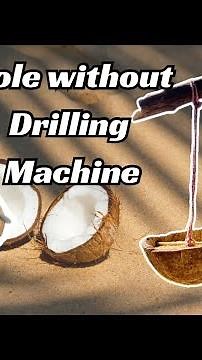 Coconut shell DIY Idea😍😍| Bird Feeder Ideas