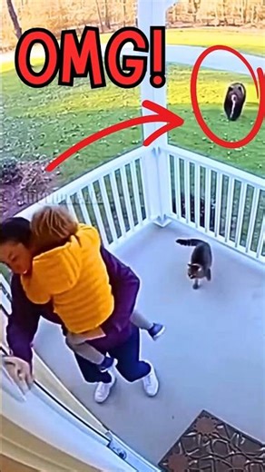 SHOCKINGLY Brave Cats 🙀