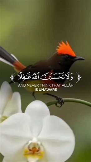 Islamic Reggae Music: A Cultural Fusion