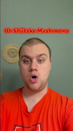 Oh Shiitake Mushrooms Intro (2026) #ohshiitakemushrooms