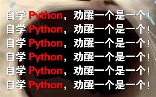 【2024全新Python教程】拒绝盲目自学！适合所有零基础人群的Python全套课程，整整400集，从0基础进阶到大神，让你少走99%的弯路！