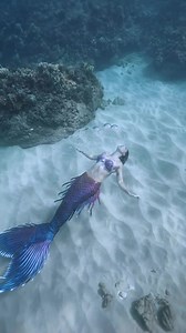 Just a mermaid practicing her bubbles 🫧 🤭 #mermaid tail by Finfolk Productions | Mermaid Sirenity