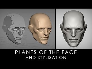 Planes of the face and stylisation