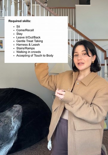 How to Train a Pig: Essential Techniques Explained