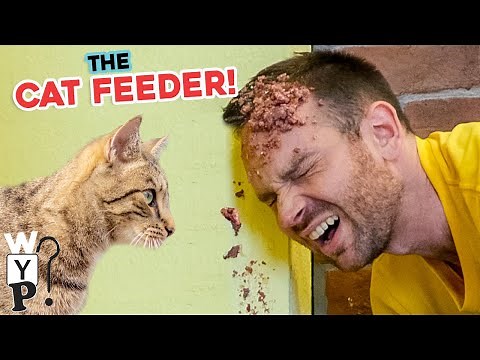 The Cat Feeder | What's Your Problem?