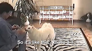 Pets are the best audience a magician could ask for. | Animal Tales